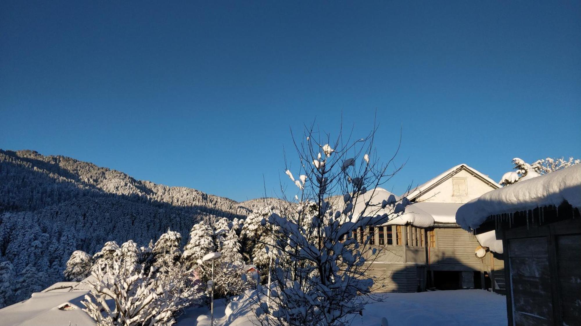 Black Bear Cottage Khajjiar Exterior foto